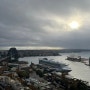 [05/11-05/16] 시드니 셋째날 - 브런치, 메리톤 스위트 서섹스 스트리트 호텔, FEATHERDALE Sydney WILDLIFE PARK, The Castlereagh