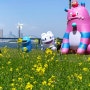 한강 서래섬 유채꽃 축제, 알고가면 더 재밌는 기본정보부터 실시간 상황.