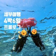 [세부여행] 4박 6일 여행 프롤로그 : 설날여행, 자유여행