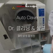 [오토클레이브 클리닝 케어] DENTAL X 고압멸균기 Auto Clave Atoma plus Dr. 클리닝 &살균 관리 - 페트로동물병원