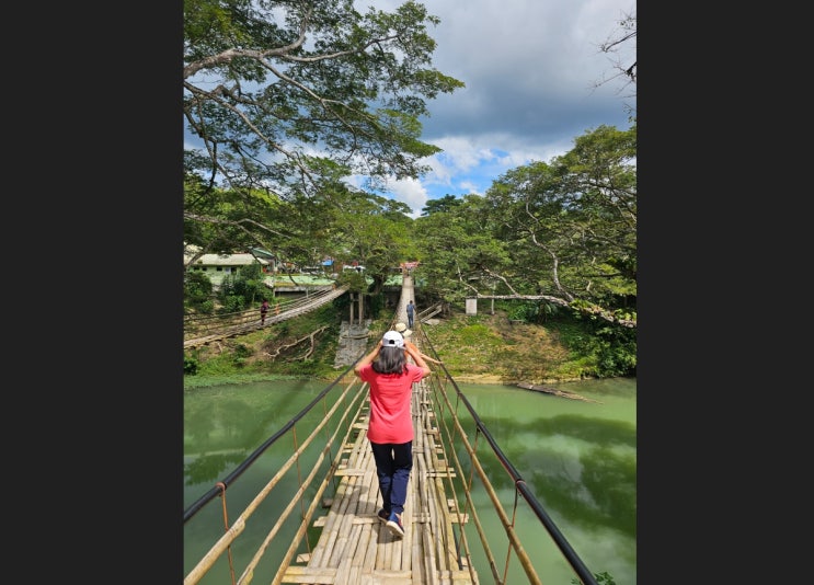 보홀 자유여행, 보홀 대나무 출렁다리.Twin Hanging Bridge Sevilla, Bohol