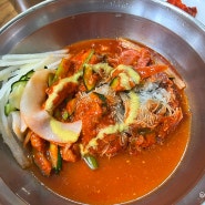 야탑 회냉면 맛집 점심메뉴 최고집함흥냉면