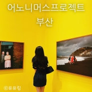 부산 전시회 어노니머스 프로젝트 부산, 내돈내산 사진전 후기
