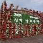 [Preview]2024년 삼척 장미축제 개봉박두
