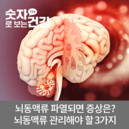 뇌동맥류 파열되면 어떤 증상이 나타날까? - 뇌동맥류 관리해야 할 3가지 / 신경외과 이상효 교수