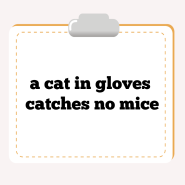 기본영어회화 표현 a cat in gloves catches no mice, a cold fish 둘을 공부해 볼까요?