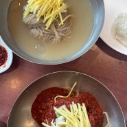 [대전 맛집 / 유성구맛집] 대전 평양냉면 맛집 ‘갑동숯골원냉면’ 내돈내산찐후기