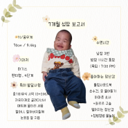 쌍둥이 7개월 성장 보고서 : 키, 몸무게, 기저귀, 수면시간, 좋아하는 장난감 등