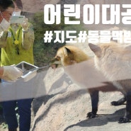 서울 어린이대공원 동물원 지도 동물먹방 세돌아기와 나들이