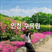 5월 인천 가볼만한곳 인천대공원 수목원 꽃구경 여행