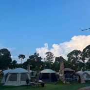 [말레이시아 캠핑&글램핑] Tam’s Durian Farm & Campsite ; 탐스 두리안 팜