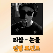 리쌍 눈물, 리쌍 앨범 가사 대표곡 주요 포인트 리뷰