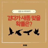 [생활 속 수학이야기] 걷다가 새똥 맞을 확률은?