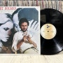 70년대와 80년대 모두 빌보드차트 1위에 오른 곡 / Rupert Holmes (루퍼트 홈즈) - Escape (The pina colada song) (Album, LP)