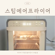 스팀 에어프라이어 대용량 올스텐 풀무원 스팀쿡 플러스