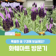 여러분! 화훼마트로 꽃구경 어때요?