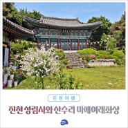 부처님 오신 날 가볼 만한 사찰, 진천 성림사와 산수리 마애 여래 좌상