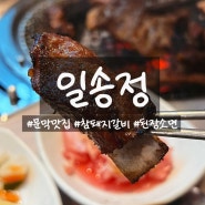 [문막] "일송정" 단체회식 장소로 좋은 돼지갈비 소고기 구이전문점