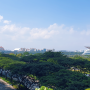 싱가포르에서 최고의 야경 포인트ㅣ 마리나 베이 샌즈 스카이 전망대 가는 방법ㅣ싱가포르의 정원 가든스 바이더 베이