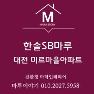 대전 중구 선화로 아파트에 한솔SB강 피츠화이트 시공