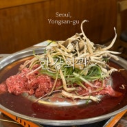 서울 용산 이촌동 한우 불고기 맛집 '한강회관', 맛있는 녀석들 맛집