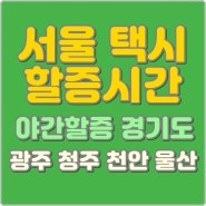 서울 택시 할증시간 야간할증 경기도 광주 청주 천안 울산