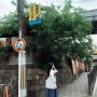 일본 교토 자유여행 기록편2 (이나리 신사,교토 맛집)