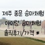 제주 아이랑 승마체험 / 중문 승마체험장 후기 *