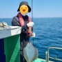 [동해 선상낚시] 동해바다 양양배낚시 "마루호"타고 행복한 추억과 함께 해요!!