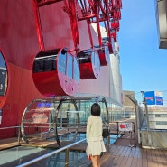 오사카 우메다 헵파이브 관람차, 주유패스 사용하여 무료로 즐기기