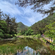 대전 계룡산 너무 좋아요. 다람쥐도 볼 수 있음 대전볼거리 대전데이트코스 가족과나들이 모두 좋아요