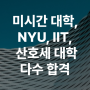 림아트 2024년 가을 학기 미국 HCI 대학원 석사 합격생 발표미시간 대학, IIT, NYU, 산호세 대학 장학금