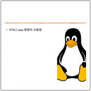 리눅스 alias 명령어: 사용자 맞춤 명령어 단축키 설정 가이드