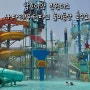 베트남 남호이안 빈원더스 놀이동산 동물원 워터파크 분수쇼