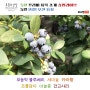 5월 꾸러미 품목소개 쇼핑라이브 (5/14 11:00~)