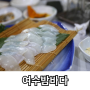 광주 북구 맛집 갑오징어 회가 먹고 싶을 땐 여수밤바다