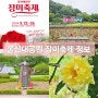 울산대공원 장미축제 기본 정보 및 실시간 개화 현황