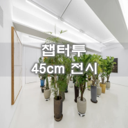 서울 연남동전시 챕터투 45cm 무료 전시정보