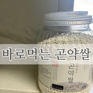 착한상점 바로먹는 곤약쌀 다이어트식단 다이어트곤약쌀 곤약밥효과 곤약쌀 효과
