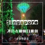 싱가포르 자유여행 슈퍼 트리 쇼 가는 방법 시간 입장료 명당자리