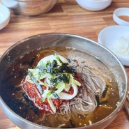 「상계」 메밀 막국수 맛있네.. 막국수 맛집 ‘봉평 메밀막국수’