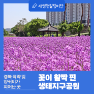 경북 작약 및 양귀비가 피어난 영천 생태지구공원