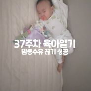 [8개월 아기 육아일기] 260일 ~ 266일 : 밤중수유 끊기 성공