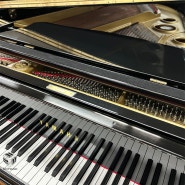 야마하 G5 그랜드피아노 중고 매장에 전시되었습니다