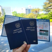 강남구청에서 여권 신청하고 대리인이 수령하기 (+인터넷신청)