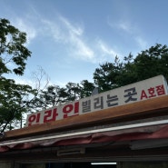 서울 데이트 추천 여의도공원 인라인 대여 후기