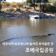 아프리카 여행 필수 코스: 보츠와나의 숨겨진 보석 초베 국립공원 완벽 가이드