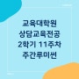 상담심리교육대학원 [40] 2학기 수업 11주 차 '주간루미썬'