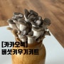[DIY 키트] 카카오톡 느타리버섯 키우기키트 완전 후기!