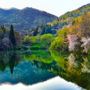 [한국 여행] 봄 풍경 / Spring scenery